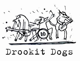 Avatar for Drookit Dogs