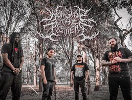 Avatar for Worship the Pestilence