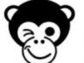 Avatar for confused monkey