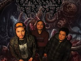 Avatar for Cercenated Flesh