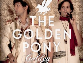 Avatar for The Golden Pony