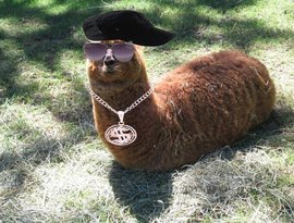 Corobizar 的头像