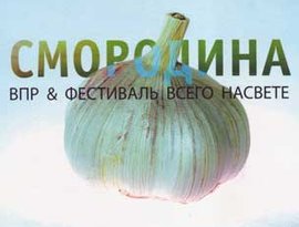 Avatar for Впр И Фестиваль Всего Насвеtе