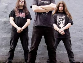 Avatar for Throne Of Nails