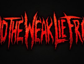 And The Weak Lie Frail 的头像