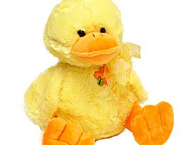 Ducky Duck 的头像