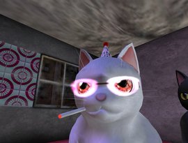 klslwsk 的头像