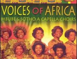 Avatar for Voices Of Africa
