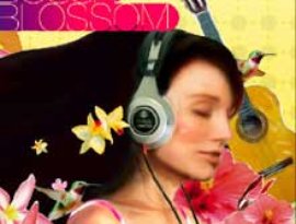 Аватар для Bossa Blossom