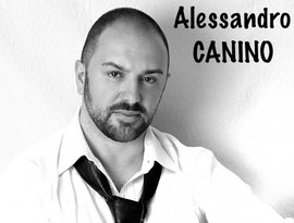 Avatar di Alessandro Canino