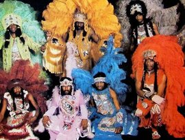Avatar for Bo Dollis & the Wild Magnolia Mardi Gras Indian Band