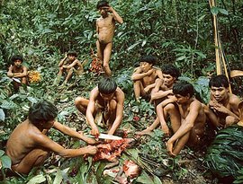 Avatar for Yanomami Young Men