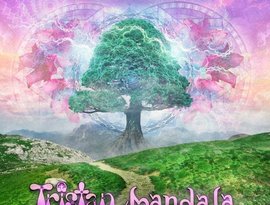 Avatar for Tristan & Mandala