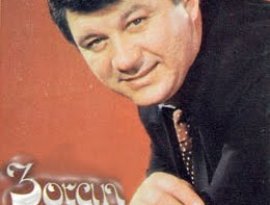Zoran Gajic 的头像