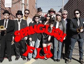 Spanglish Fly 的头像