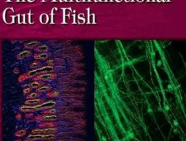 The Multifunctional Gut Of Fish 的头像