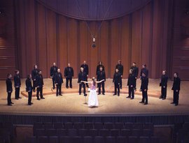 Svanholm Singers 的头像