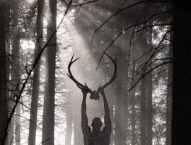 Avatar for Nordmaor