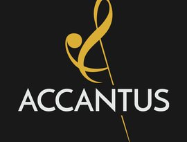 Studio Accantus için avatar
