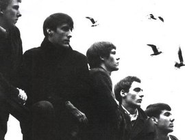 Avatar di The Sonics
