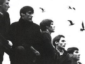 Аватар для The Sonics