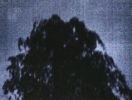 Death Forest 的头像