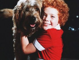 Avatar for Aileen Quinn