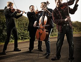 Avatar for Turtle Island String Quartet