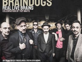 Avatar for Braindogs