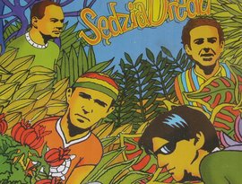 Awatar dla Sędzia Dread