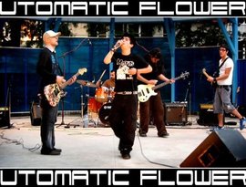 Avatar for Automatic Flowers