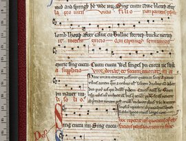 Avatar for Ductia Manuscript