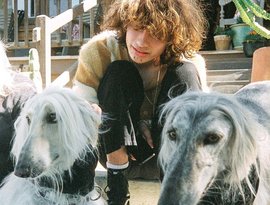 Borzoi 的头像