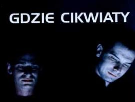 Awatar dla Gdzie Cikwiaty