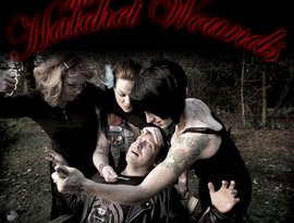 Аватар для hatchet wounds