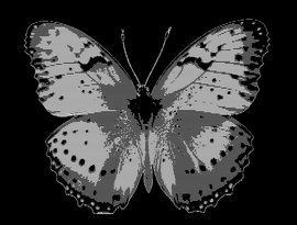 Beluga Princess için avatar