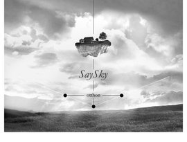 SaySky 的头像