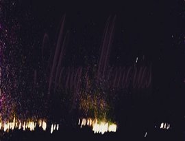 Along Memories 的头像