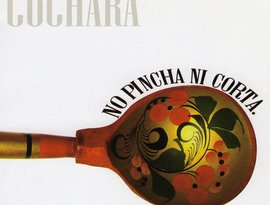 Cuchara 的头像