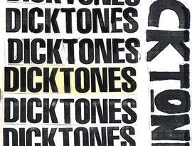 Avatar for The Dicktones
