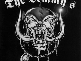 The Lemmy's 的头像
