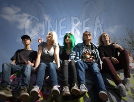 Avatar for Cinerea