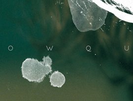 Howqua 的头像