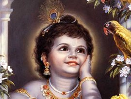 Kṛṣṇa 的头像