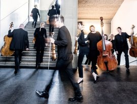 Camerata Bern 的头像