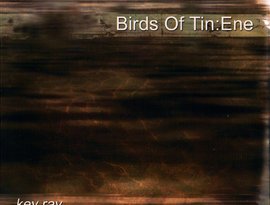 Birds of Tin & Ene のアバター