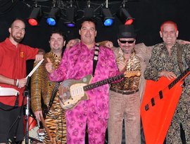 Igor & The Red Elvises 的头像
