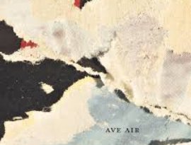 Avatar for Ave Air