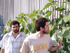 Columna Vegana 的头像