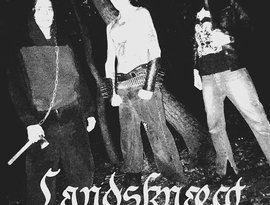 Landsknægt 的头像